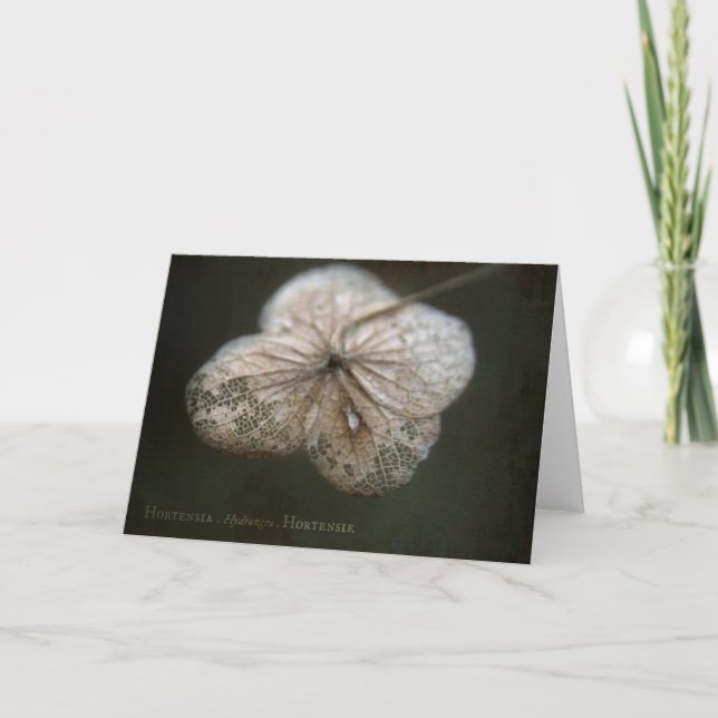 Hortensia Greeting Card (Front)