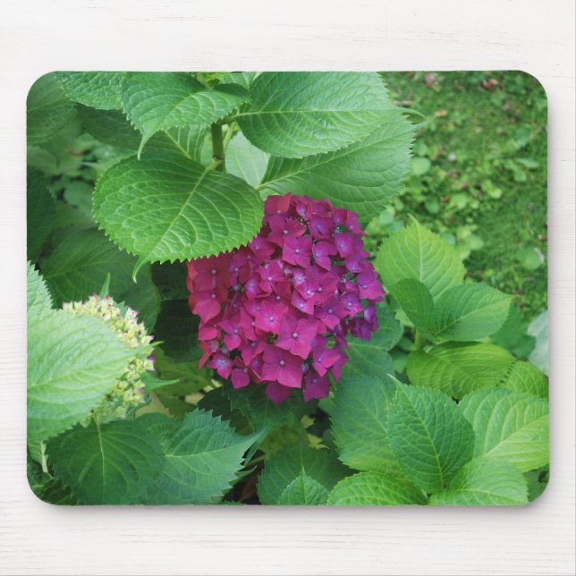 Hortensia Pad Mouse Mat (Front)