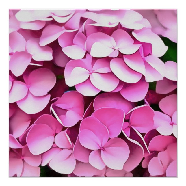 Hortensia Pink Petals Artistic Abstract Poster (Front)