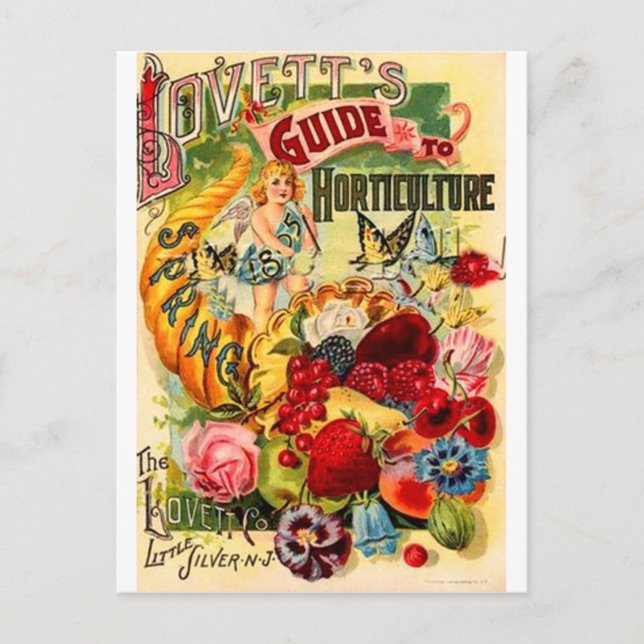 Horticulture Postcard (Front)