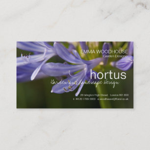 Hortus - Agapanthus Business Card