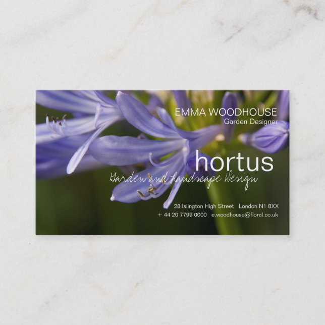 Hortus - Agapanthus Business Card (Front)