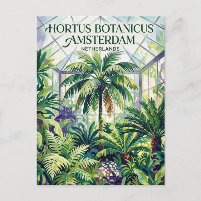 Hortus Botanicus Amsterdam Netherlands Postcard (Front)