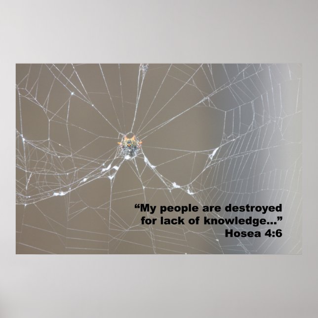 Hosea 4:6 Scripture Poster, Version D Poster (Front)