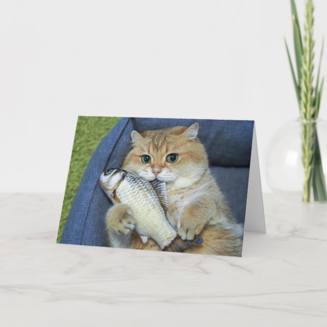 Hosico and the fish card (Front)