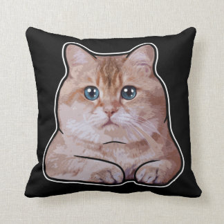 Hosico Cat Cushion