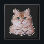 Hosico Cat Magnet<br><div class="desc">Hosico</div>