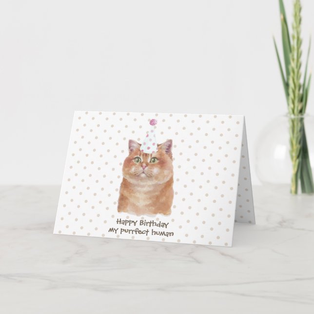 Hosico Cat with Party Hat Card (Front)