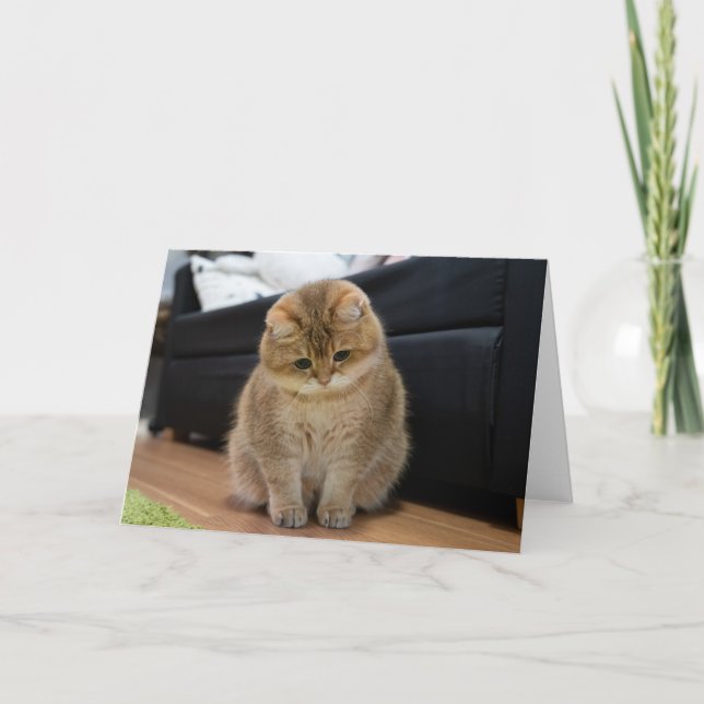 Hosico cute baby card (Front)