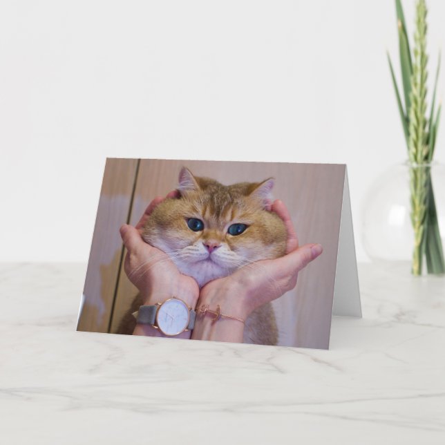 Hosico in the palms card (Front)