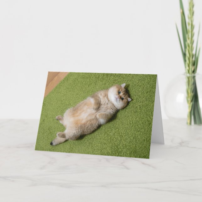 Hosico on the carpet card (Front)