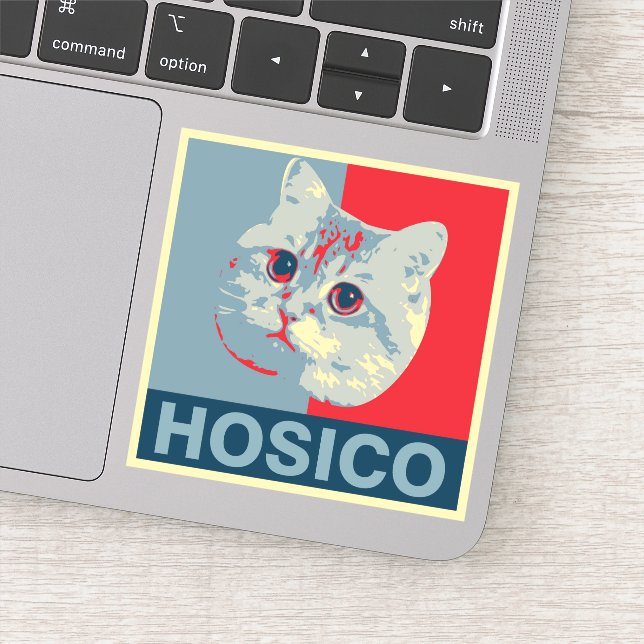 Hosico - Red Blue Illustration (Detail)