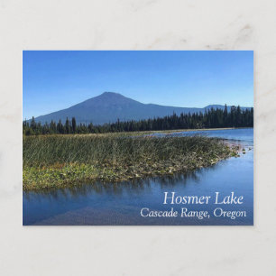 Hosmer Lake in Summer, OR Postcard