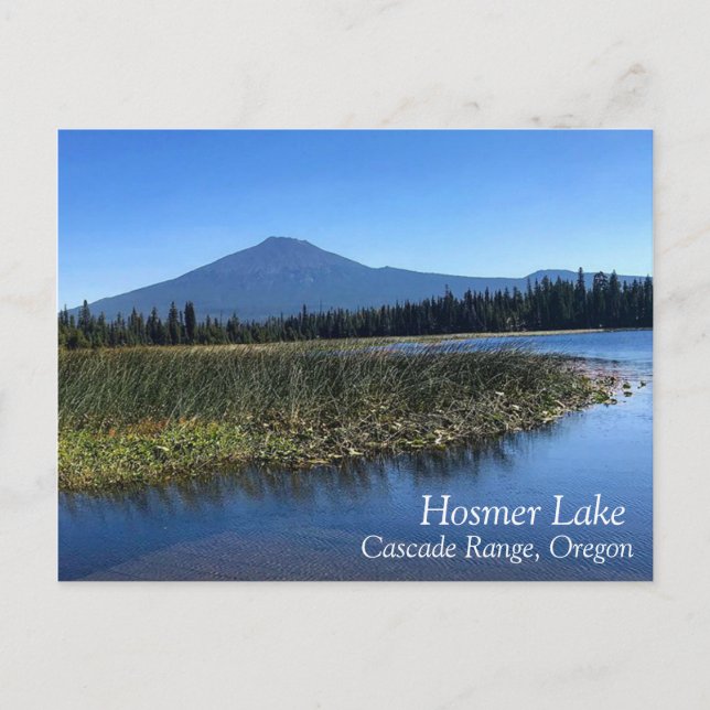 Hosmer Lake in Summer, OR Postcard (Front)