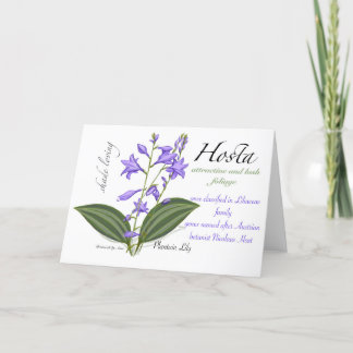 Hosta Blank Card