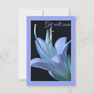 Hosta Flower Blue and Purple Get Well Soon Card