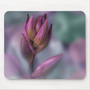 Hosta Flower Bud Purple And Green Mouse Mat
