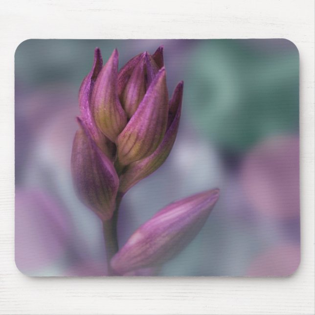 Hosta Flower Bud Purple And Green Mouse Mat (Front)