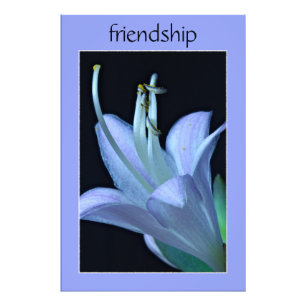 Hosta Flower Ornate Purple Friendship Photo Print