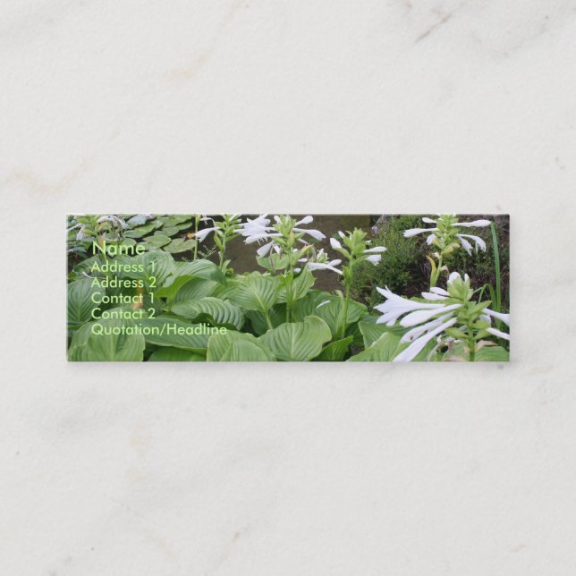 Hosta in a Zen Garden 3 Mini Business Card (Front)
