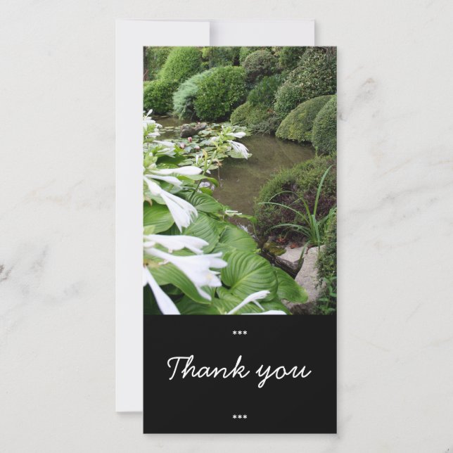 Hosta in a Zen Garden Thank You Photo Card (Front)