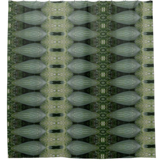 Hosta La Vista Too 12 Shower Curtain (Front)