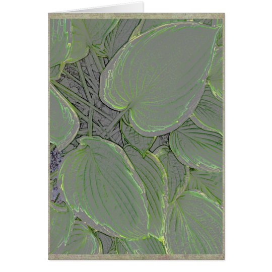 Hosta leaves in a summer garden card