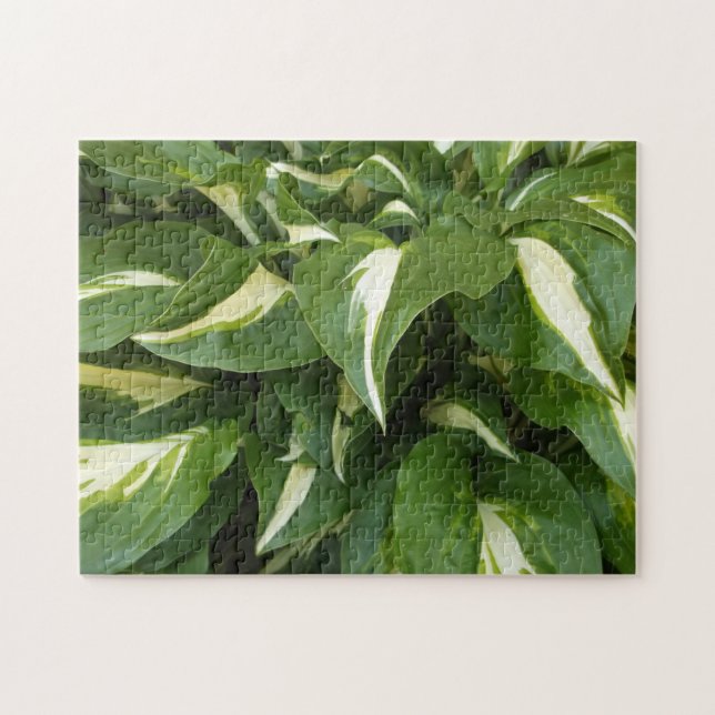 Hosta Leaves Jigsaw Puzzle (Horizontal)