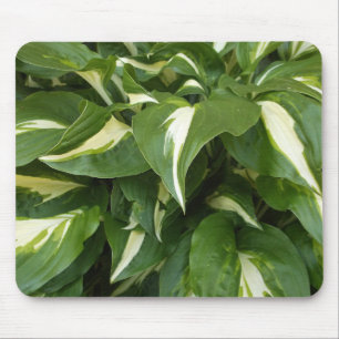 Hosta Leaves Mouse Mat