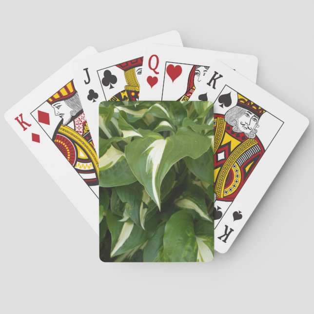 Hosta Leaves Playing Cards (Back)