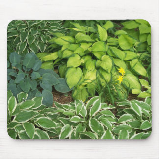 Hosta Mouse Mat