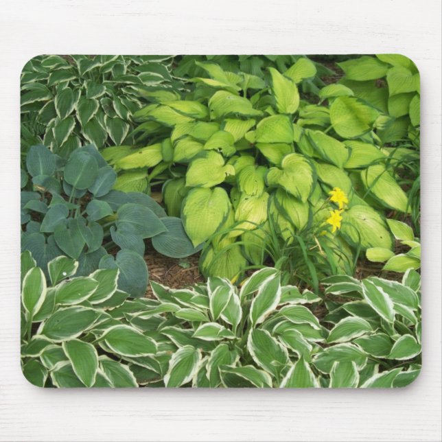 Hosta Mouse Mat (Front)