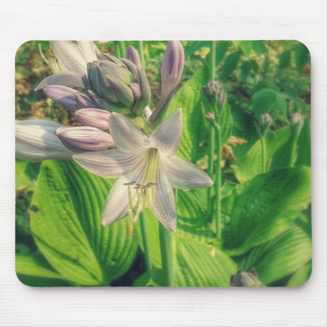 Hosta Mouse Mat (Front)