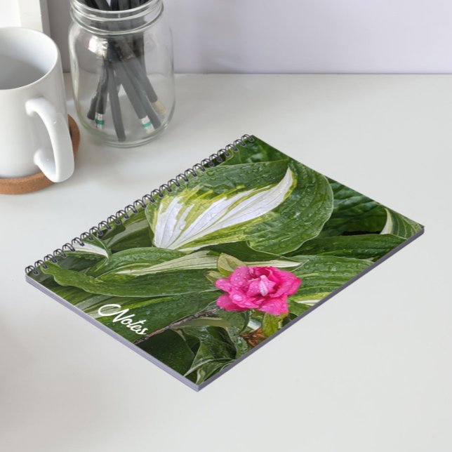Hosta Plant and Pink Azalea Floral Notebook (In Situ)