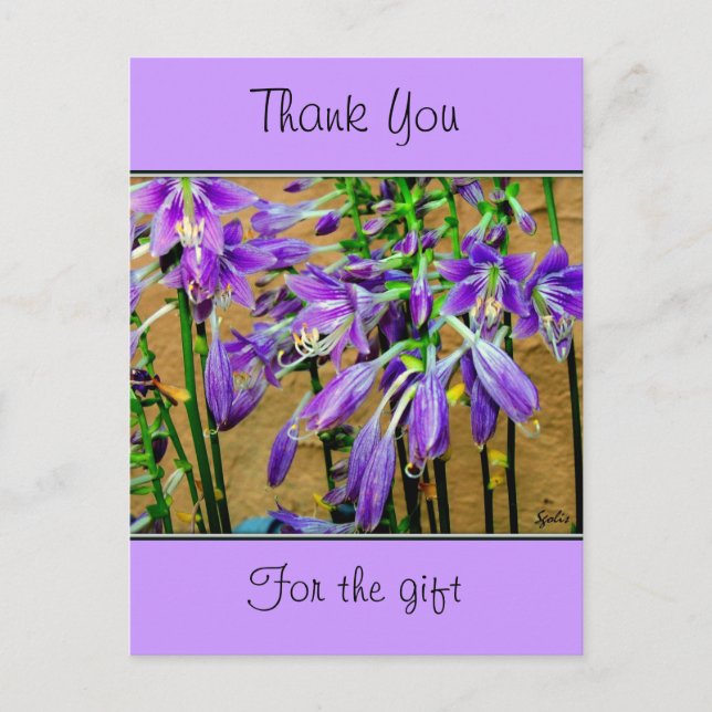 Hosta Purple Flower Postcard (Front)