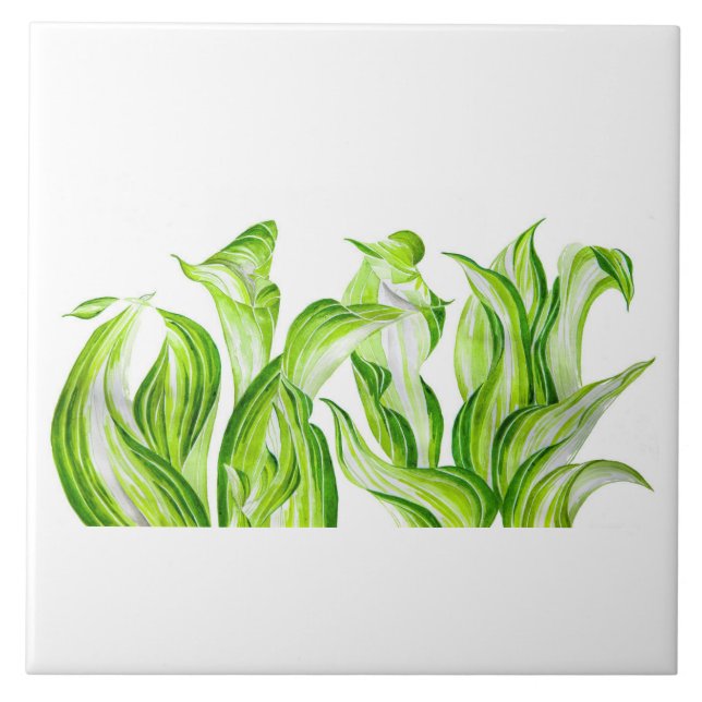 'Hosta with the Mosta' on a Ceramic Tile (Front)