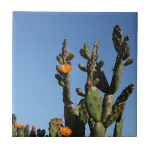 Hot Africa Desert Cactus Plant Prickly Pear Flower Tile