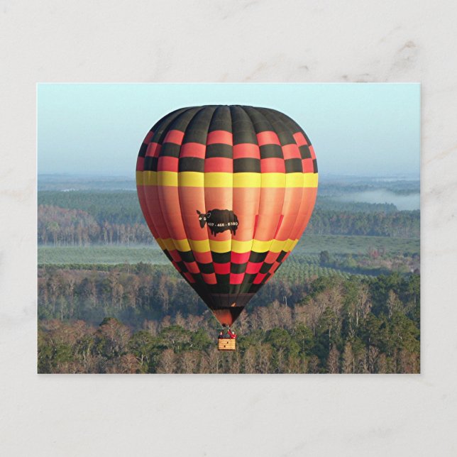 Hot Air Balloon 9 Postcard (Front)
