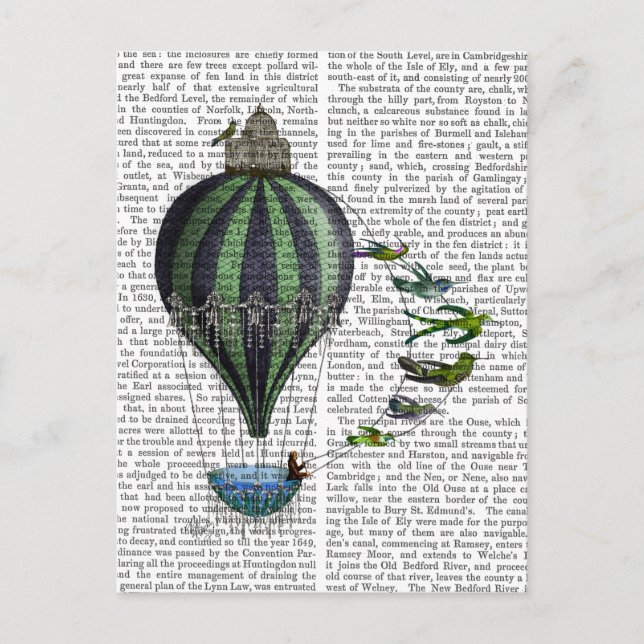Hot Air Balloon and Birds Postcard (Front)