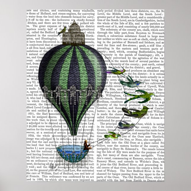 Hot Air Balloon and Birds Poster (Front)