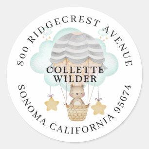 Hot Air Balloon Baby Bear Shower Return Address Classic Round Sticker