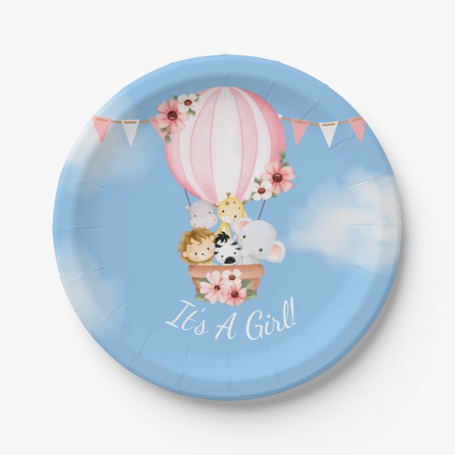 Hot Air Balloon Baby Girl Shower Paper Plate (Front)