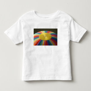 Hot-air Balloon, near Methven, Canterbury 2 Toddler T-Shirt