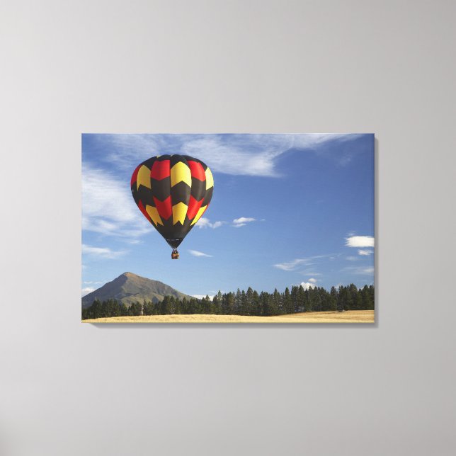Hot Air Balloon near Wanaka, South Island, New Canvas Print (Front)
