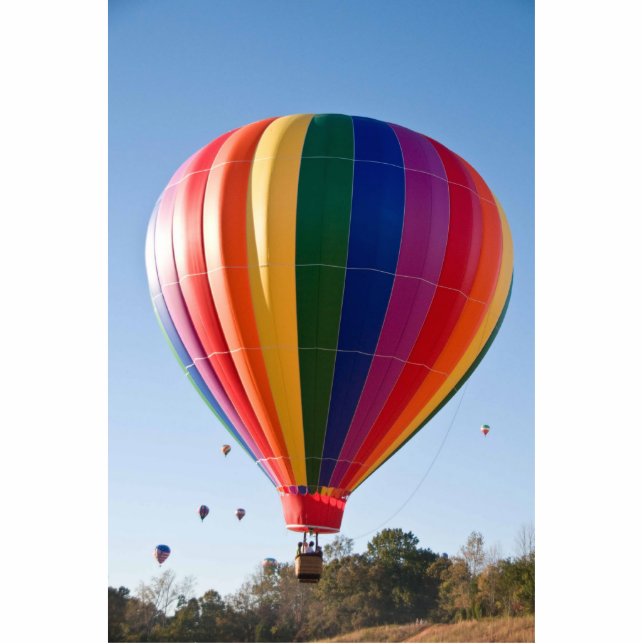 Hot Air Balloon Photo Sculpture Ornament (Front)