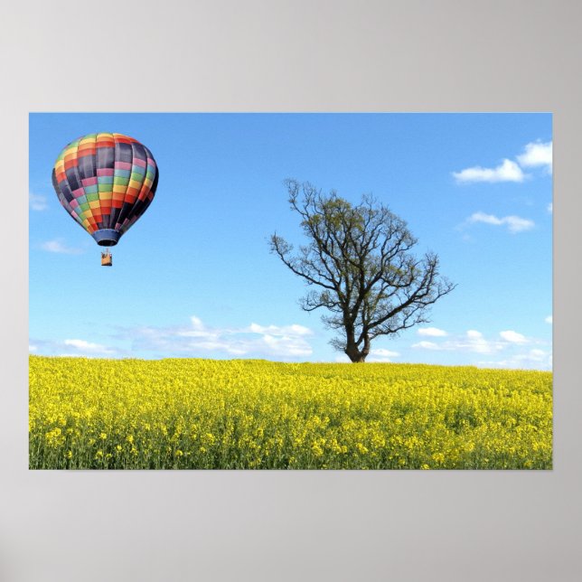 Hot Air Balloon Poster (Front)