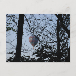 Hot air balloon Through Trees Postcard
