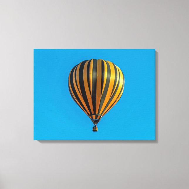 Hot air balloon view canvas print (Front)