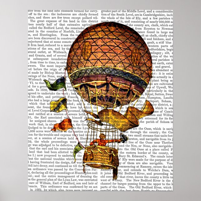 Hot Air Balloon with Flags Poster (Front)