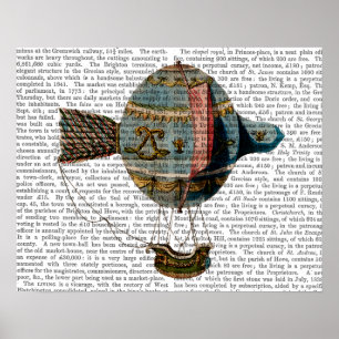 Hot Air Balloon With Tail Feather Poster